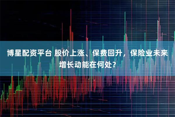 博星配资平台 股价上涨、保费回升，保险业未来增长动能在何处？